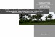 ANEXO I - Lista de Plantas Vasculares relevadas en el predio ...Estudio de Impacto Ambiental y Social Construcción Polo Científico, Tecnológico y de Innovación. Dpto. Formosa