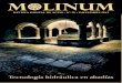 M LINUM...3 MOLINUM es un elemento de difusión de ACEM, la Asociación para la Conservación y Estudio de los Molinos. Con esta revista digital, de carácter divulgativo, científico
