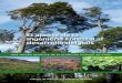 cifag.cl · Este libro es editado por el Colegio de Ingenieros Forestales de Chile A.G. Representante Legal: ... - Reflexiones sobre una estrategia para el manejo sustentable del