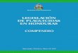 LEGISLACIÓN DE PLAGUICIDAS EN HONDURAS€¦ · El compendio de Legislación en Plaguicidas que actualmente presentamos, ... Fiscalía del Ambiente, Economía, Servicio de Agua y