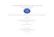 UNIVERSIDAD NACIONAL DE ASUNCION Facultad Polit ecnicacschaer/Tesis-Elias Maciel.pdf · 2017. 12. 21. · 1 Resumen Evaluaci on de Gradiente Conjugado por Bloques para un Lado Derecho