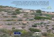 Criterios téCniCos para el Control - Junta de Andalucía · 2012. 5. 16. · Sistema de cárcavas profundas en un olivar. Figura 3. Regueros durante una tormenta. Figura 4. Cárcava