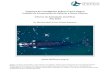 Programa de Investigación Ballena Franca Austral Instituto ......Programa de Investigación Ballena Franca Austral Instituto de Conservación de Ballenas y Ocean Alliance Informe