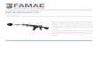 FAMAE · 2019. 11. 21. · Fusil de instrucción diseñado para entrenamiento, tiene similar peso dimensiones, y centro de gravedad al fusil de guerra Galil ACE 22NC. Fabricado sobre