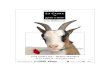 La cabra o ¿Quién es Sylvia? - Josep Maria Pou · 2020. 8. 31. · La Cabra o ¿Quién es Sylvia?, dirigida por José María Pou Última actualización: 1 noviembre 2006 Notas del