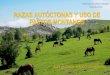 RAZAS AUTÓCTONAS Y USO DE PASTOS MONTANOS · 2020. 2. 25. · Biodiversidad de los Pastos de Montaña y Ganadería extensiva Arkaute, 23 de enero de 2020 Características de la ganadería