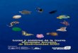 Luces y sombras de la nueva Estrategia Europea de Biodiversidad … · 2020. 12. 29. · Andrés Espinosa ISBN 978-84-120139-9-3 Ecologistas en Acción Marqués de Leganés,12 •