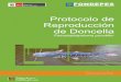 Protocolo de Reproducción de Doncella - E-max · 2018. 2. 22. · acuicultura, viene desarrollando en el Centro de Acuicultura Nuevo Horizonte-Loreto, la tecnología del cultivo