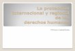 La recepción nacional de los tratados internacionales de derechos humanosarchivos.diputados.gob.mx/comisionesLXI/Derechos_Humanos... · 2015. 10. 28. · Diferencia entre Tratados