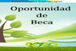 Oportunidad de Beca · 2020. 7. 17. · Comunitario, en los grados de Técnico, Licenciatura, Maestría y Doctorados a toda persona interesada que cumpla con los requisitos académicos