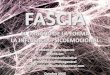 La Fascia · 2020. 10. 14. · La Fascia •Un órgano de tejido conjuntivo, con función de soporte. •Altamente inervado •Aporta estabilidad y movilidad formado por una red tridimensional