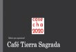 Café Tierra Sagrada · • Semifinalista de la Taza de Excelencia 2017, Se participó con un Marago con puntuación de 85.35 • Semifinalista de la Taza de Excelencia 2018, se participó