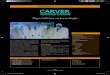 Especialistas en tecnología - ESADE€¦ · Fax 93 238 58 81 E-mail: info@carver-as.com Web: Cuadro directivo Antiguos alumnos de ESADE Dirección Carver Advanced Systems es una