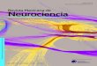 Revista Mexicana de Neurocienciaprevious.revmexneurociencia.com/wp-content/uploads/2016/... · 2016. 6. 11. · Revista Mexicana de Neurociencia 2016; 17(2): 104-110 / ISSN 1665-5044