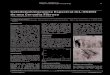 Catodoluminiscencia Espectral (CL-ESEM) de una Cerusita Fibrosa · 2018. 1. 10. · revista de la sociedad española de mineralogía Catodoluminiscencia Espectral (CL-ESEM) de una