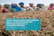 Las leyes de semillas que criminalizan campesinas y campesinos · TLC : Tratado de Libre Comercio UPOV : Unión Internacional para la Protección de las Obtenciones Vegetales USAID
