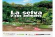 La Selva y sus Animales · 2020. 5. 29. · La selva y sus animales Convenciones Coordinación editorial: Ferney Díaz Castañeda. Comunicaciones Programa Trinacional Edición e investigación