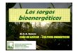 Los sorgos bioenergéticos · 2019. 3. 6. · Los sorgos bioenergéticos son un cultivo anual -estivalmuy adecuados para la producción de productos energéticos: • Como especie
