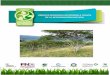 ÁRBOLES DISPERSOS EN POTRERO A TRAVÉS DE LA …ganaderiacolombianasostenible.co/web/wp-content/uploads/... · 2018. 1. 16. · control manual de arvenses o plantas que están creciendo