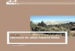 abetales de Abies pinsApo boiss. de abies... · 2019. 2. 19. · Abies pinsapo Boiss. En: VV.AA., Bases ecológicas preliminares para la conservación de los tipos de hábitat de