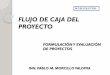 FLUJO DE CAJA DEL PROYECTOs06938d77ebd85b76.jimcontent.com/download/version... · 2013. 11. 30. · GENERALIDADES La proyección del flujo de caja (FC) constituye uno de los elementos