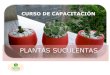 PLANTAS SUCULENTAS · 2016. 2. 18. · Las plantas pueden estar fuera de abril a septiembre, cuando ya no haya riesgo de heladas. 1.2. Sustratos En los centros de jardinería venden