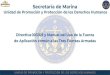 Secretaría de Marina - Gob · 2020. 9. 21. · De Fuego Mecanismos S. UNIDAD DE PROMOCIÓN Y PROTECCIÓN DE LOS DERECHOS HUMANOS MEDIDAS PARA ... en legítima defensa o de otras