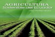Agricultura sostenible del Ecuadorrepositorio.cidecuador.org/bitstream/123456789/15/1... · 2019. 5. 6. · Descriptores claves: Sistema hidropónico vertical, Sustrato, Convencional,