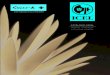 Catálogo Sk-ICEL 2016 - Swiss-KNAVAJAS SUIZAS CUCHILLERÍA RELOJES EQUIPAJE MODA PERFUMES | DISTRIBUIDOR MONTERREY 241.3100.36 Bistecero Recto Medidas: 14” 241 241.3512.25 Bistecero