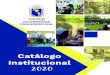 Catálogo Institucional · 2020. 7. 8. · UPAN), y participando activamente en el Sistema Nacional de Educación Superior y sus intercambios con universidades extranjeras, de países