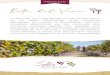 Sitio Web Oficial del Ministerio de Turismo y Deportes de la ...turismosalta.gov.ar/images/uploads/pdf_productos_-_ruta...historia y características de los viñedos en los Valles