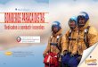 Mark Beyer BOMBEROS PARACAIDISTAS · 2011. 1. 27. · paracaidistas se acerca a la zona de salto, los bomberos paracaidistas revisan sus paracaídas y sus equipos. El paracaídas