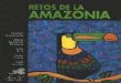 RETOS DE LA AMAZONIA · 2020. 11. 10. · INTRODUCCION La Amazonia constituye un tema que para el Ecuador representa un desafío de dimensiones especiales. La realidad ecológica