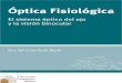 Óptica Fisiológica: el sistema óptico del ojo y la visión ...“ptica_Fisiológica.pdf2- La cÆmara posterior, entre el iris, el cuerpo ciliar y el cristalino, que contiene el