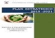 PLAN ESTRATEGICO 2015 -2021€¦ · El Plan Estratégico de la Escuela Profesional de Ingeniería Ambiental 2015-2021, sirve como herramienta de gestión institucional que definen