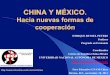 CHINA Y MÉXICO. - Dussel Peters · Comercio desagregado México-China (participación sobre las importaciones totales) 2010 1995-2010 Total 15.13 7.53 66 Umbrella,Wlk-Sticks,Etc