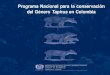 Programa Nacional para la conservación del Género Tapirus ...tapiruscol.tripod.com/recursos/ProgramaTapirusColombia.pdfEl tapir mesoamericano es la especie de tapir de mayor ta-maño