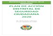 PLAN DE ACCION DE SEGURIDAD CIUDADANA-2020 · 2020. 7. 8. · Plan de Acción de Seguridad Ciudadana 2020 que establece los lineamientos sobre los cuales se desarrollarán acciones