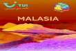 MALASIA · 2020. 5. 5. · Oso Malayo. Crucero en barco por la parte baja del Santuario de Kinaba-tangan. Almuerzo. Al atardecer nos embarcaremos en un crucero para disfrutar de una