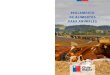 DE ALIMENTOS PARA ANIMALESestablecimientos productores de alimentos para animales de terceros países, para efecto de que exporten sus productos a Chile. 19) INGREDIENTE: Sustancia