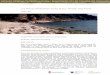 Les Penyes-Monticalvari-Punta Brava i Mirador dels Frares i... · 2019. 3. 5. · Zona de gran valor paisatgístic pel relleu, el modelat i les formes granítiques, així com per