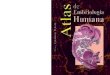 Atlas de Embriología Humana...Atlas de Embriología Humana 5 Agradecemos al Doctor en Ciencias Horacio Grillo Ravelo, que realizó con maes-tría el trabajo fotográfico; al Doctor