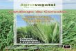 Catálogo de Cereales - Agrovegetal...TrIGo Duro, TrIGo BLAnDo y TrITICALe GALLo y AGroVeGeTAL e l Grupo Gallo, es el primer productor de pasta alimenticia con la marca PASTAS GALLO