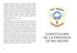 CONSTITUCION DE LA PROVINCIA DE RIO NEGRO · PREAMBULO Los representantes del Pueblo de la Provincia de Río Negro, reunidos en Convención Constituyente, ratificando su indisoluble