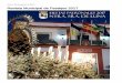 Revista Municipal de Festejos 2017 - Escacena del Campo · Revista Municipal de Festejos 2017 Created Date: 1/17/2019 9:40:15 PM 