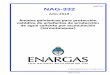 ANEXO - Erreparftp2.errepar.com/bo/2019/10/04/R620anexo.pdf · 2019. 10. 4. · NAG-332 Año 2019 3 PRÓLOGO La Ley N.º 24.076 –Marco Regulatorio de la Actividad del Gas Natural–