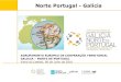 Norte Portugal - Galicia · 2016. 11. 11. · Galicia –Norte Portugal Agrupamento Europeu de Cooperação Territorial 2 Línguas muito parecidas (Português e Galego), Elevado grau