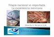 Eduardo A. Mendoza Q.M. - INFOPESCA...de Pesca. 3) Trópico Húmedo. 4) Vinculación Productiva. 5) Capacitación y Asistencia Técnica. Millones de pesos 2008-2010 1,868 Proyectos