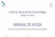 MANUAL DE AYUDA - Imagen INCanimagenincan.org.mx/acceso.pdf · Acceso a la Aula Virtual y cambio de contraseña Manual Aula Virtual Imagen en mama 1. Ingreso a la Aula Virtual En