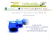 CLASIFICACIÓN DE LOS ACEITES DE OLIVA VÍRGENES ......relativo a las características de los aceites de oliva y de los aceites de orujo de oliva y sobre sus métodos de análisis